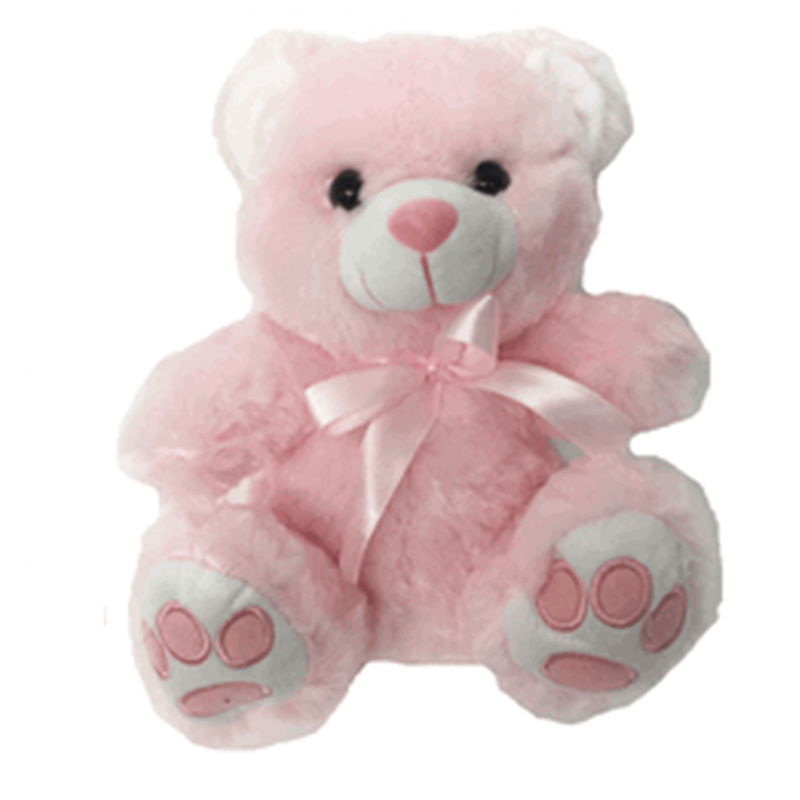 10" Pink Teddy Bear